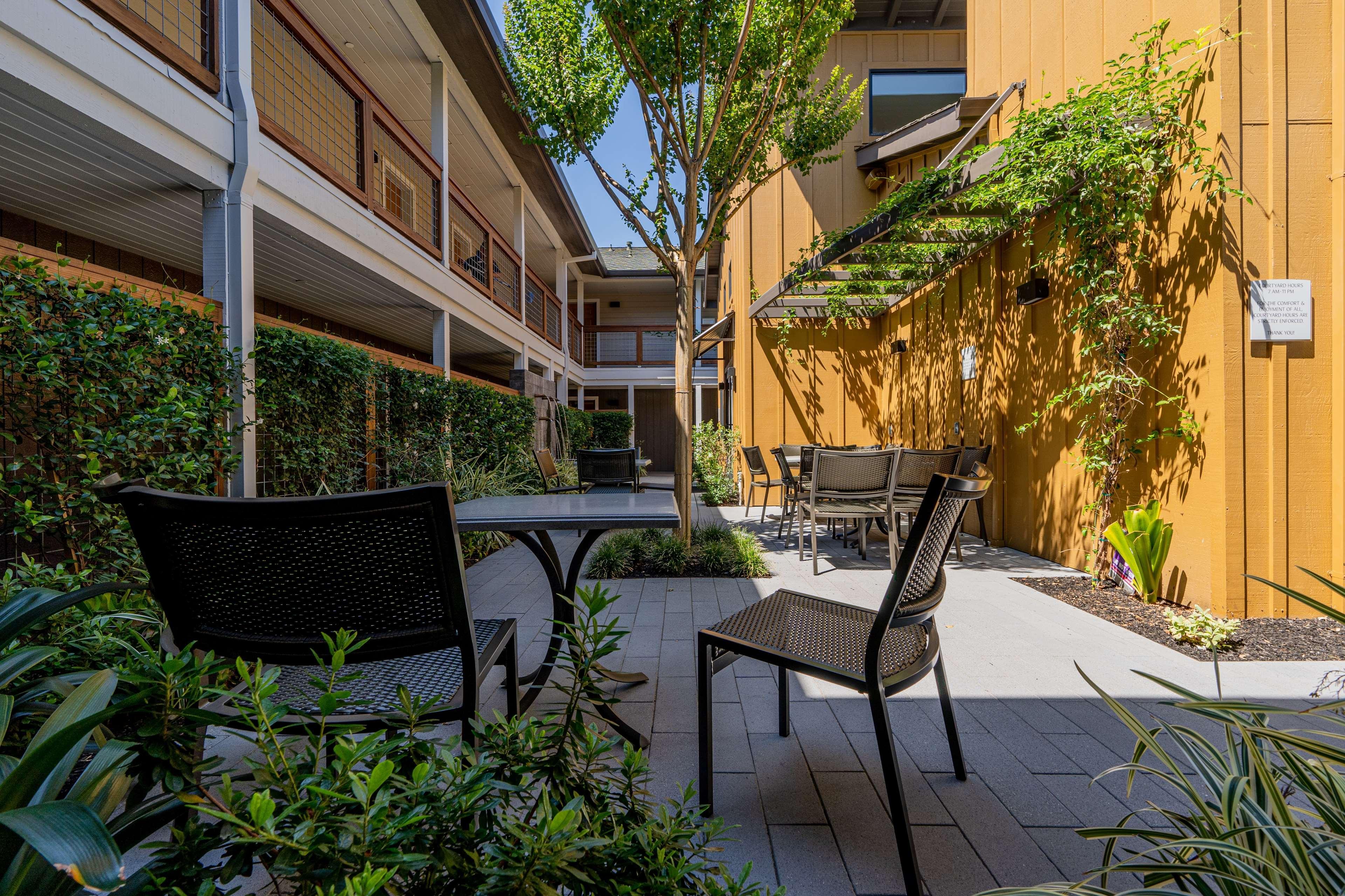 Best Western Plus Stevenson Manor Calistoga Eksteriør billede